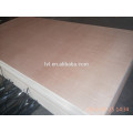 technical veneer plywood